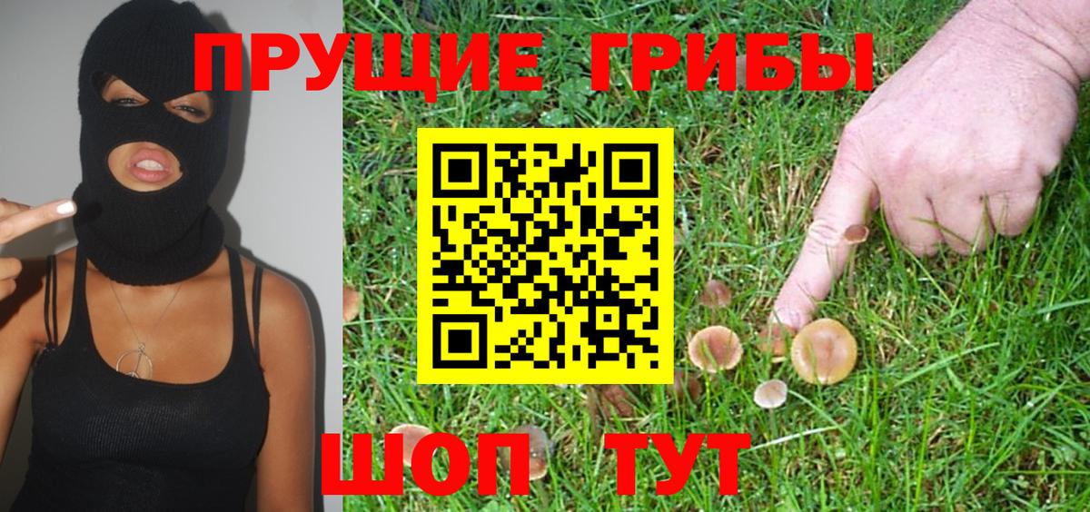 Галлюциногенные грибы Magic Shrooms Омск