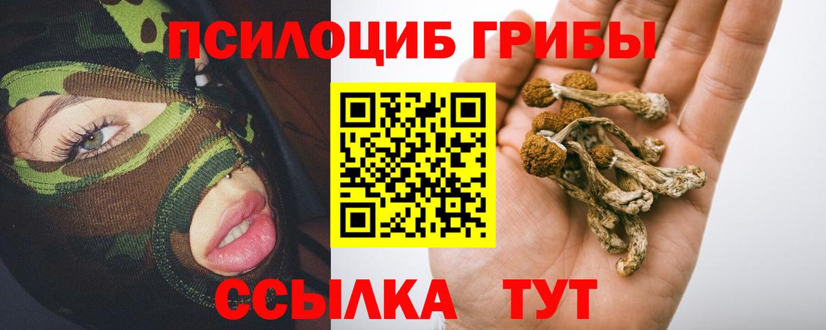 Омск  Псилоцибиновые грибы MAGIC MUSHROOMS  Вход с VPN 